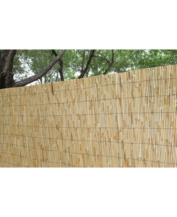 Bambú extra Bonerva