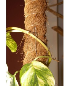 Tutores fibra de coco. Naturplant.
