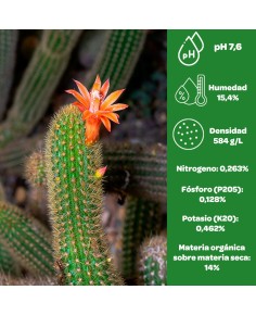 Sustrato especial cactus. 5 Litros. Naturplant.
