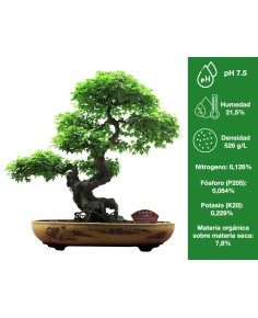 Sustrato especial bonsai 5 L. Naturplant.